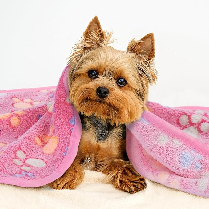 MCEAST 30 Pieces Fluffy Dog Cat Blanket with Paw Print 16 x 24 Inch, Washable Ultra-Soft Flannel Pet Throw Blankets for Small Animals, Cozy Puppy Bed Mat Warm Plush Bedding