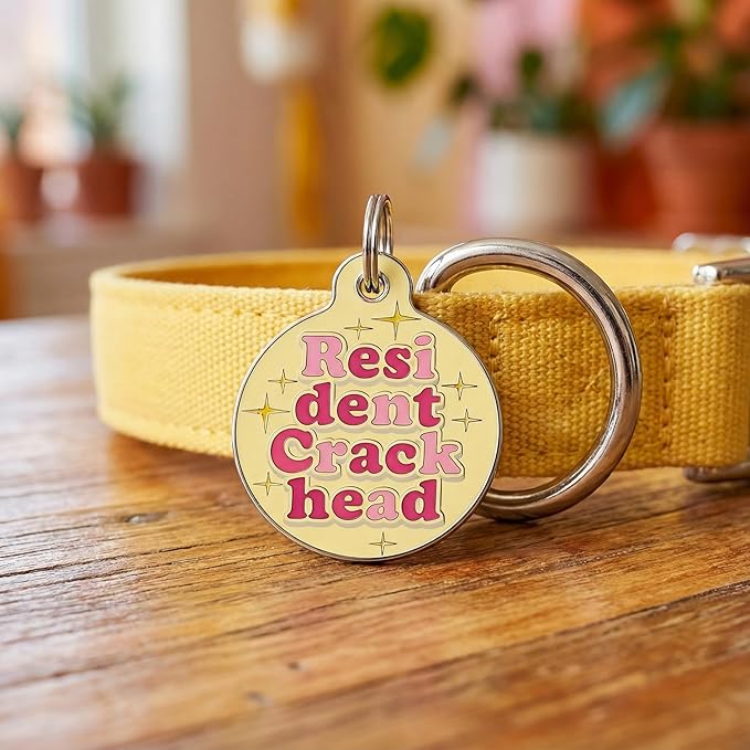 Bad Tags Personalized Dog and Cat ID Tags in 25+ Designs and 2 Sizes - 5 Lines of Custom Engraved Text - Funny Cute Personalized Pet Tags (Resident Crackhead - Yellow, Large (1.25 inch))