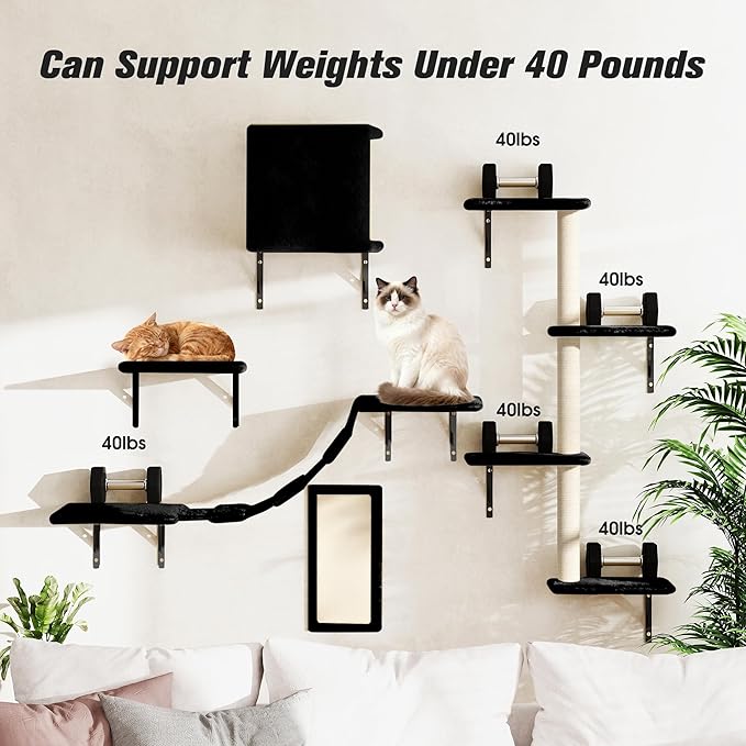 COZIWOW Wall Mounted Cat Furniture, Cat Wall Shelves and Perches, Floating Cat Shelves for Wall Set of 5 (Black)