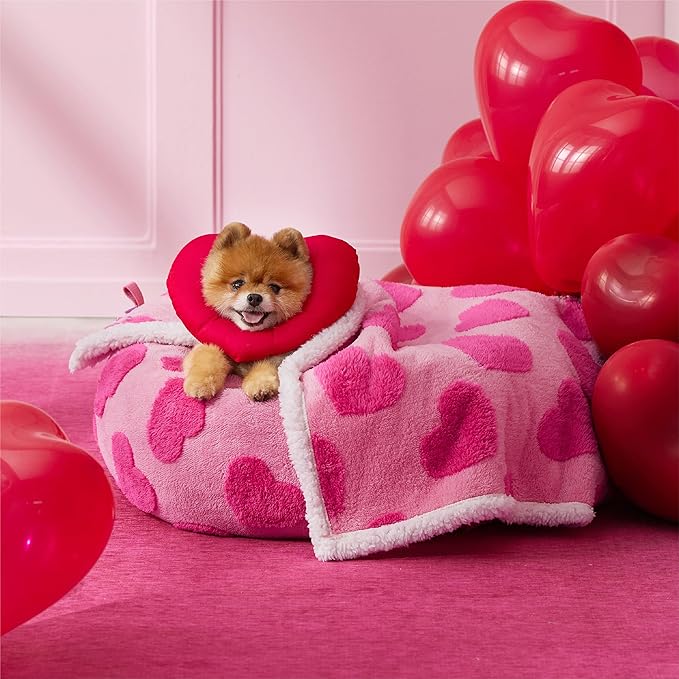 LE SURE Waterproof Puppy Blanket for Small Dogs - Washable Double Sided Dog Blankets Valentine's Day Gift with Warm Soft Sherpa Fleece, Pet Cat Blanket for Couch Protection, Lover Hearts