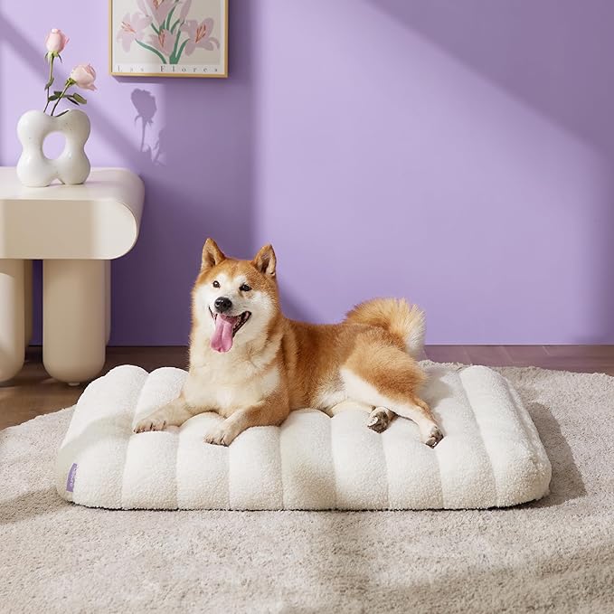 LE SURE Cute Orthopedic Dog Bed Medium Size Dog, Waterproof Chic Flat Pet Beds with Removable Washable Cover, Fuzzy Thick Egg Crate Foam Pet Mat for Indoor Use (30" x 20", Cream)