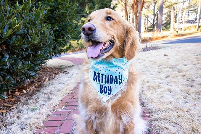 Birthday Boy Dog Bandanas 1 Pack, Blue Birthday Dog Scarfs, Pet Scarves for Birthday Boy Bandanas for Large and Extra Large Dogs (Blue, X-Large)