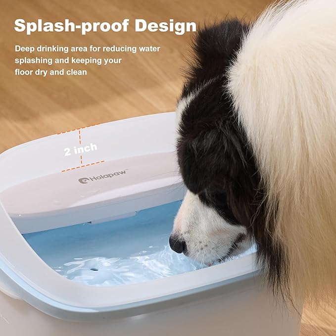 Dog Water Fountain for Large Dogs, 2.1Gal/8L Dog Water Bowl Dispenser, No Spill Automatic Pet Water Fountain for Dogs Cats Multiple Pets with Ultra Quiet Pump, 3 Filter Replacement, Blue