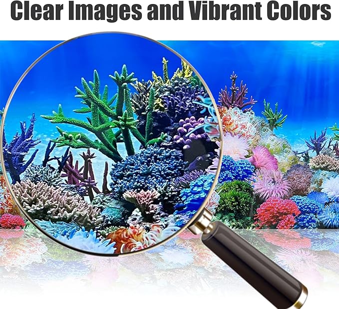 Fish Backgrounds Paper Double Sides Undersea Aquarium Background Poster Colorful Sea Anemone Fish Tank Background Sticker Decorations 12"x 25"