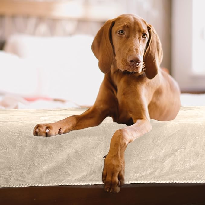 PETMAKER Dog Blanket - 80x100in Reversible Sherpa Blanket - Throw Blankets for Bed, Couch, Crate or Car - Machine Washable Puppy Essentials (Cream)