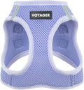 Best Pet Supplies Voyager Step-in Air Harness - All Weather Mesh, Reflective, No Pull Harness for Dogs, Cats - Secure with Hook & Loop Fastener, Buckle, Double D-Rings - Lavender, XL