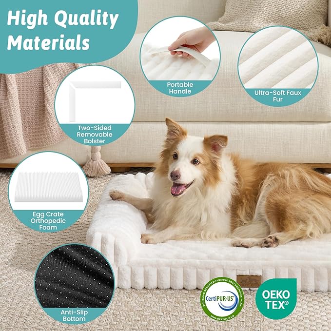Cute Dog Bed, Faux Rabbit Fur Orthopedic Foam Dog Bed with Sides, Removable Washable Cover & Waterproof Lining, Comfortable Pet Couch for Extra Large Dogs, Cream (48" L x 35" W x 7.5" Th)