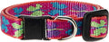LupinePet Originals 1/2" Wing It Cat Safety Collar , 8-12"