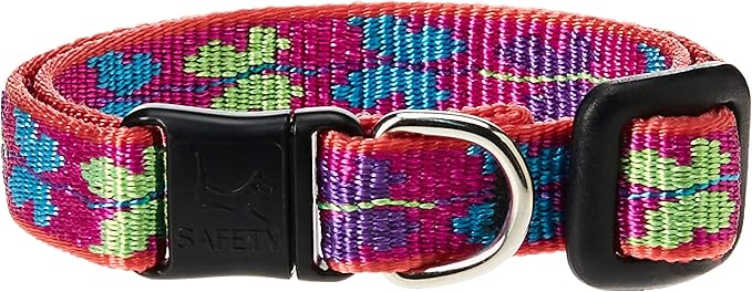 LupinePet Originals 1/2" Wing It Cat Safety Collar , 8-12"