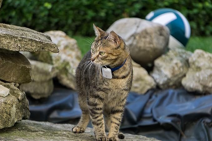 Pro-Track-tor - Ultra-Lightweight Cat Finder (ONLY 0.28oz) - No Monthly Fees - 1600ft Range RF Tracker - Works Where GPS Fails - Find Hidden Cats Anywhere