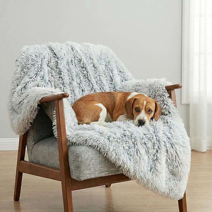 PJYuCien Dog Blankets for Medium Dogs Washable - Fluffy Fuzzy Cat Blanket for Couch, Puppy Throw for Furniture with Polyester Fleece, Super Soft Plush for Pet Kitten Doggy, Grey, 30" x 40"
