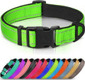 Joytale Reflective Dog Collar, Soft Neoprene Padded, Metal D-Ring, Nylon Pet Collar Adjustable for Small Dogs, Green, S