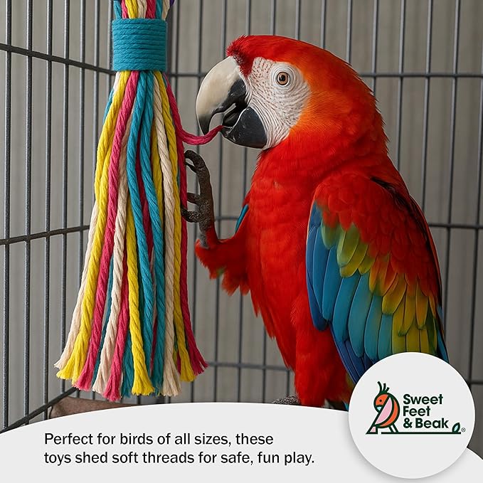 Sweet Feet & Beak Cotton 11" Rope Toy - Colorful Parrot Chew Toys for Shredding & Chewing - Engaging & Stimulating for Parrots, Small & Large Sized Birds - Cage Accessories
