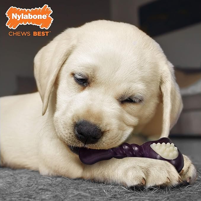 Nylabone Double Action Bone Puppy Chew Toy, Rubber Teething Toys for Puppies, Puppy Chew Bone, Bacon Flavor, Small Dogs - Up to 25 lbs., 1 Count