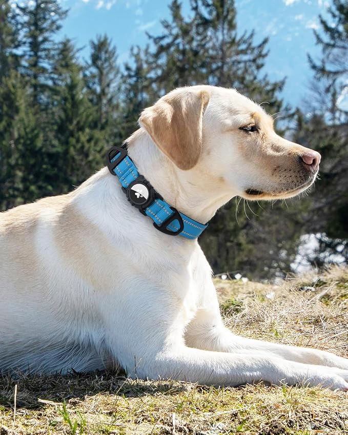 Joytale Airtag Dog Collar, Reflective Pet Collar with Waterproof AirTag Holder, Dual D-Rings, Soft Padded Adjustable for Extra Small and Puppy Dogs, SkyBlue, XS