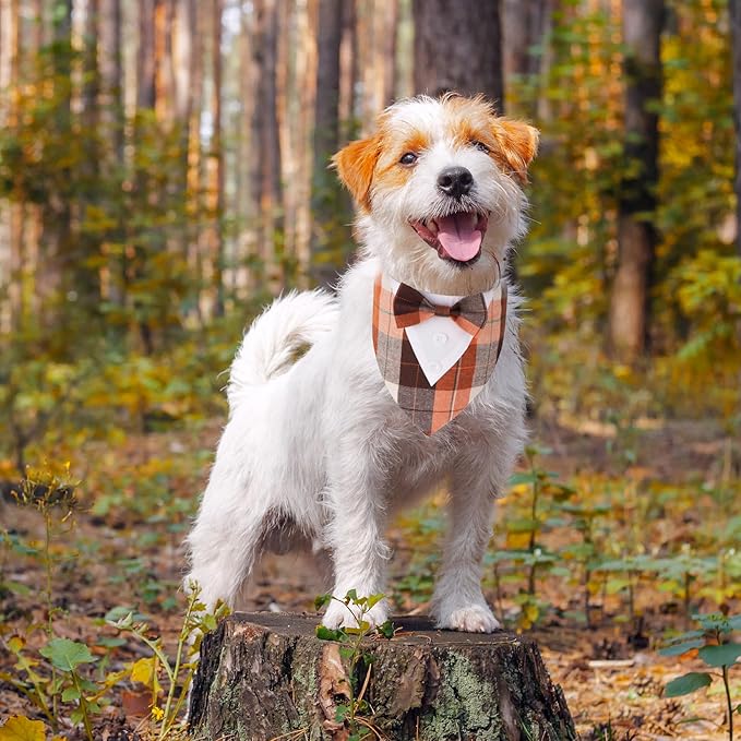 ADOGGYGO Fall Dog Tuxedo Bandana, Orange Plaid Pet Fall Collar with Bowtie, Adjustable Halloween Thanksgiving Costume for Small Dogs (S)