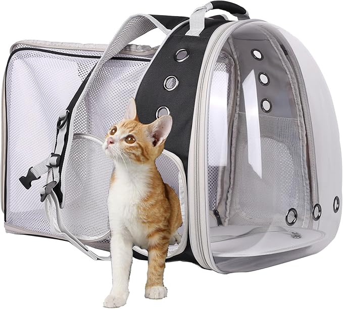 Square Back Extension Pet Backpack Carrier for Cat and Small Puppy up to 12 Pounds, Clear Space Capsule Astronaut Transparent Bubble Window Backpack to Carry and Transport Cat to Vet and Traveling