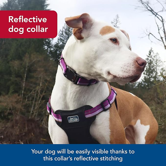 Coastal Pet K9 Explorer Reflective Adjustable Dog Collar - Comfortable Collar for The Outdoors - Durable, Lightweight Accessory with Side-Release Buckle - Campfire Orange, 1" x 18-26"