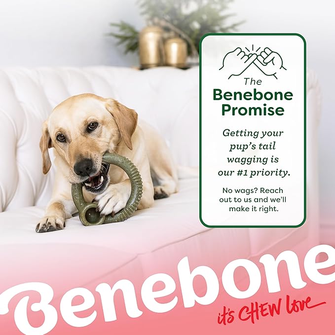 Benebone Peppermint Ring – Limited Edition Holiday Flavor, Durable Chew Toy for Aggressive Chewers, Made in USA, Large