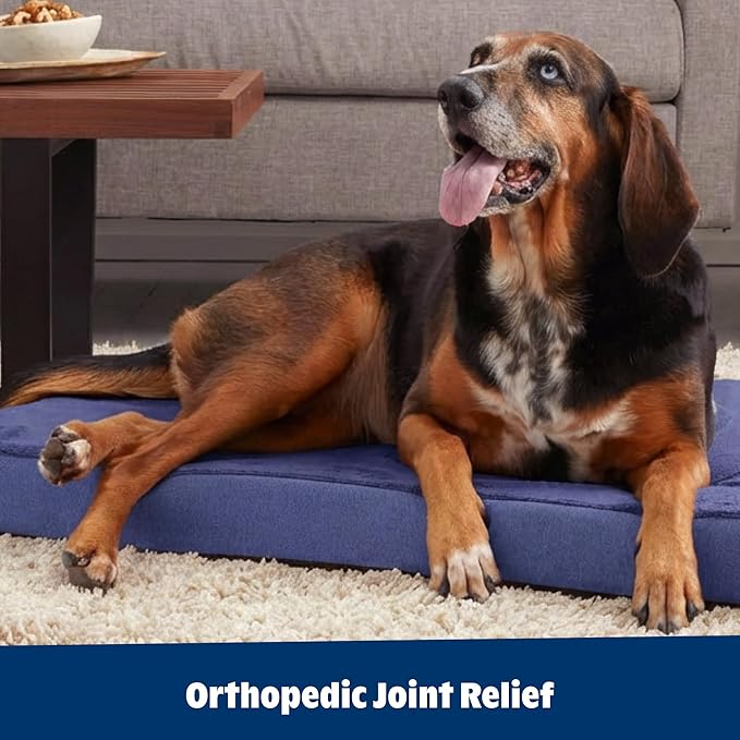 Barkbox Orthopedic Dog Bed with Memory Foam, Premium Comfort for Dogs and Puppies, Dog Bed for Joint Relief and Restful Sleep, Durable and Easy to Clean - Navy, Large