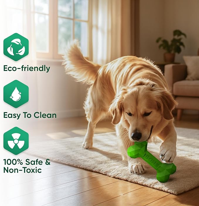 Natural Rubber Dog Chew Bone – Treat-Dispensing, Tough & Indestructible Chew Toy – Safe for Aggressive Chewers – Dental Health & Boredom Relief (Green)