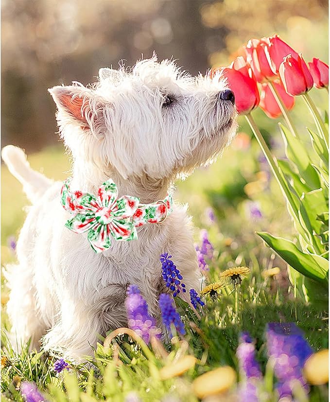 Lionheart glory Dog Collar Flowers Collar Floral Dog Collar with Flower Spring Summer Cute Collar Dog Boy or Girl Dog Collars Soft Durable Adjustable Dog Collars for Small Dogs, Red Roses