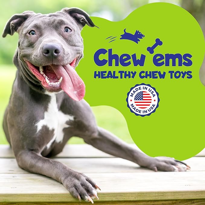 Chew’EMS X Bone Dog Chew Toy for Aggressive Chewers – Long-Lasting Chicken Flavor Nylon Bone – Durable, Rawhide-Free Dental Toy - Giant Size – Made in USA
