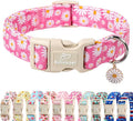 Summer Daisy Dog Collar, Cute Floral Adjustable Pink Dog Collars for Medium Dogs, Lightweight Quick-Release Buckle Collar for Boy&Girl Dogs M