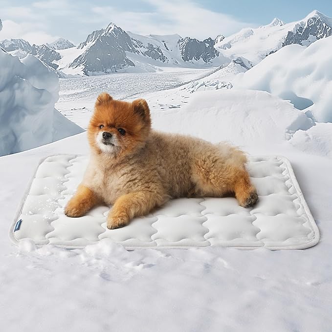 Bedsure Cooling Mat for Small Dogs – 24x18 Thin Washable Cooling Pet Pad for Cat, QMAX>0.5, Portable Kennel Puppy Bed for Summer, Non-Slip Summer Crate Pad for Dog Up to 15 lbs