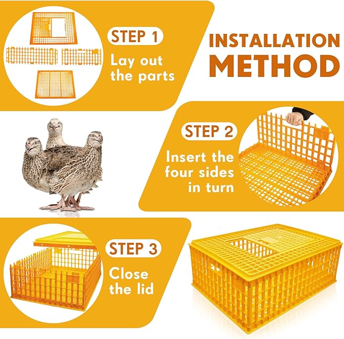 Sintuff Poultry Carrier Crate Plastic Chicken Transport Cage Bird Carriers Chickens Carrier Travel Crate Basket Box for Poultry Chicken Bird Duck Goose, 29.5 x 21.7 x 11.6 Inch (2 Pcs)