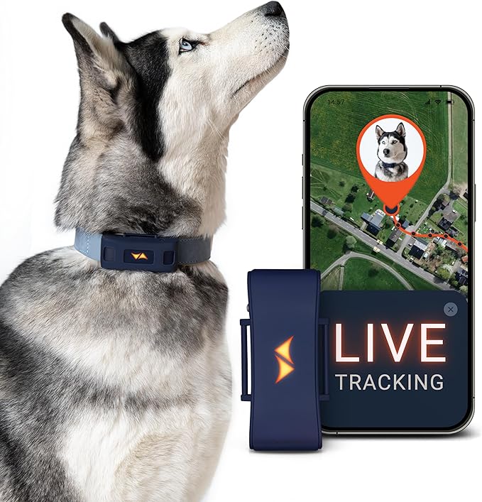 PAJ GPS Dog Tracker - 4G Real-Time Tracking & Runaway Alerts - Waterproof, Long-Range, Smart App Monitor Health & Activity - Fits Any Collar, Mini Device Navigator Chip - Subscription Required - Blue
