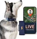 PAJ GPS Dog Tracker - 4G Real-Time Tracking & Runaway Alerts - Waterproof, Long-Range, Smart App Monitor Health & Activity - Fits Any Collar, Mini Device Navigator Chip - Subscription Required - Blue