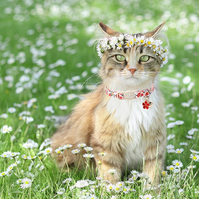 Cat Collar, 2Pack Flower Cats Collars-Cute Summer Breakaway Cat Collar with Bell & Pendant, Pretty Flower Kitten Collars with Safety Buckle for Girl & Boy Cats, 7-12Inch