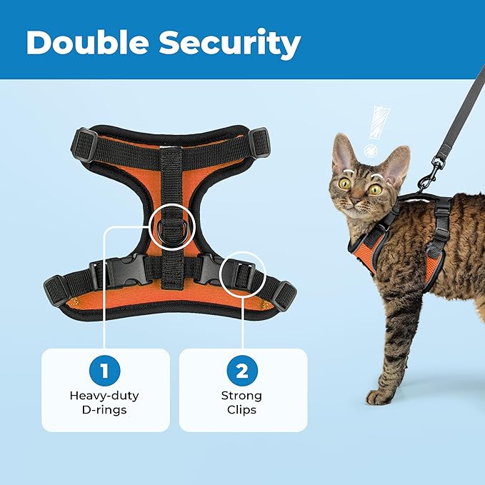 Voyager Escape-Proof Step-in Lock Cat Harness & 5ft Neoprene-Handle Leash Set All-Weather Mesh with Reflective Stitching for Small to Large Cats by Best Pet Supplies, Black Trim-Orange (327), XXXS