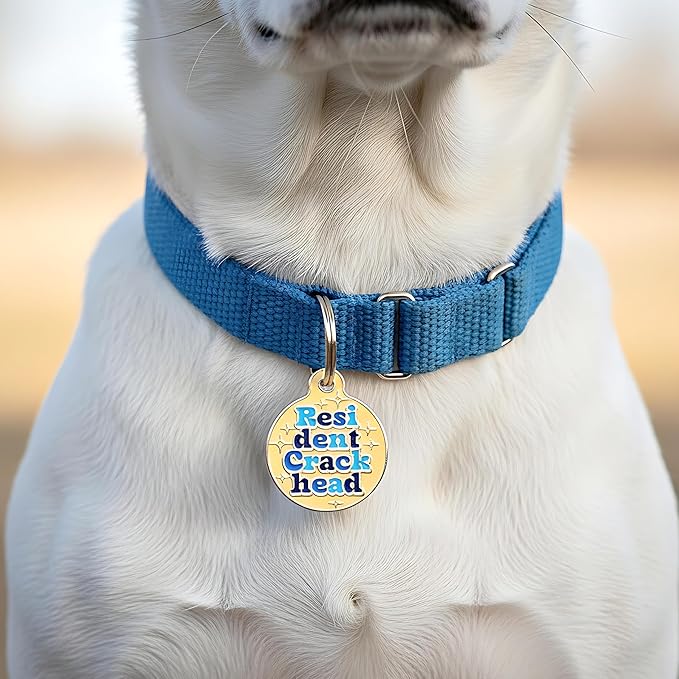 Bad Tags Personalized Dog and Cat ID Tags in 25+ Designs and 2 Sizes - 5 Lines of Custom Engraved Text - Funny Cute Personalized Pet Tags (Resident Crackhead - Orange, Large (1.25 inch))