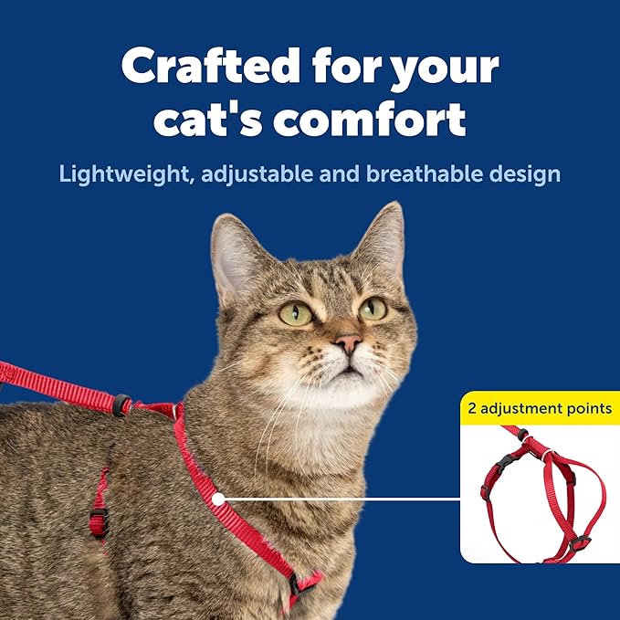 PetSafe Come With Me Kitty Cat Harness & Bungee Leash - Comfortable Cat Harness with Lightweight Bungee Leash for Outdoor Fun - More Secure Walks - Large - Red