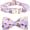 Elegant little tail Dog Collar, Rose Print Pet Collar Summer Dog Collar Durable Metal Buckle Dog Collars Cotton Pet Adjustable Dog Collars for Small Dogs