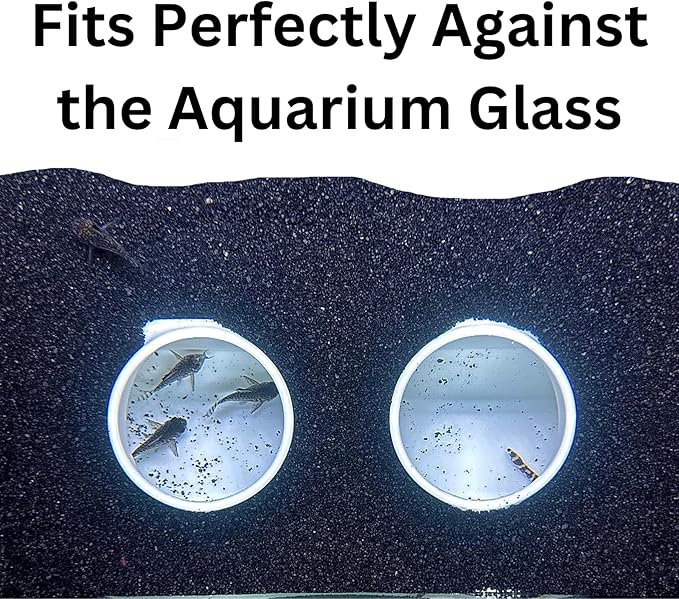 Aquarium Underground Tunnel Cave Natural Curve Two Hole | Viewing Fish & Shrimp Under Gravel Tunnel | Fish Tank Decor Decoration Hideout Perfect for Corydora Catfish, Kuhli Loach, Pleco (White)