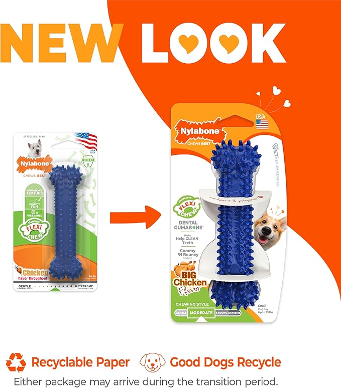 Nylabone Textured Dental Bone Flexi Chew Toy for Dogs, Dog Toys for Moderate Chewers, Chicken Flavor, Small - Up to 25 Ibs, 1 Count
