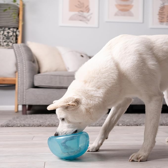 Outward Hound by Planet Dog Snoop Dog Toy – Treat‑Dispenser Puzzle Ball, Interactive Slow Feeder, Medium to Large Dogs, Bouncy & Mint-Infused, Blue, 5"