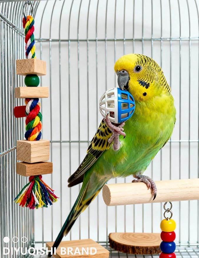 23-Pack Bird Toys for Parrots – Natural Rattan & Plastic Bell Balls – Safe, Fun Cage Decor & Foot Exercise (1.6'' - 2.8'')