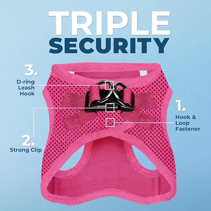 Best Pet Supplies Voyager Step-in Air All Weather Mesh Harness and Reflective Dog 5 ft Leash Combo with Neoprene Handle, for Small, Medium and Large Breed Puppies - Set (Fuchsia), XS