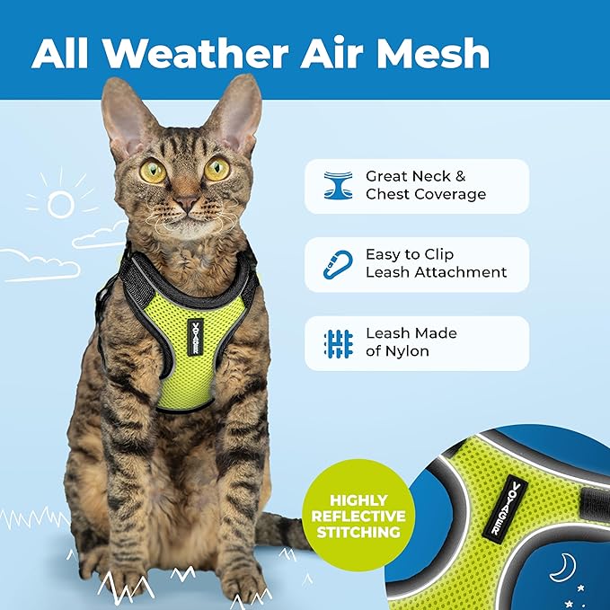 Voyager Escape-Proof Step-in Lock Cat Harness & 5ft Neoprene-Handle Leash Set All-Weather Mesh with Reflective Stitching for Small to Large Cats by Best Pet Supplies, Black Trim-Lime (327), S