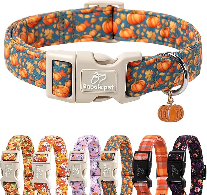 Fall Dog Collar Cute Autumn Pumpkin Puppy Collar - Light Comfortable Adjustable Pet Collars for Small Medium Large Girl Boy Dogs XL