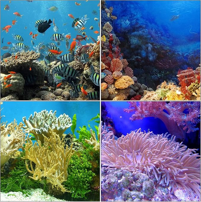 Boao 2 Sets Long Pipette for Fish Tank Coral Food Feeder Long Syringe Aquarium Coral Feeding Tube for Marine Fish Reef Aquatic Plant Spider Snake Lizard(Black)