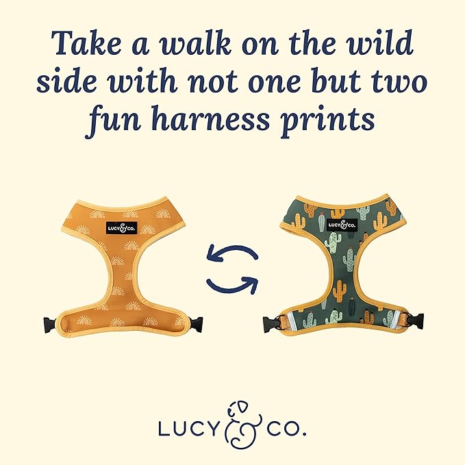 Lucy & Co. Looking Sharp, Cute Reversible Dog Harness Walking Halter - Best Designer Pet Harnesses for Medium Dogs - Padded Adjustable Vest for Easy Walking (X-Small)