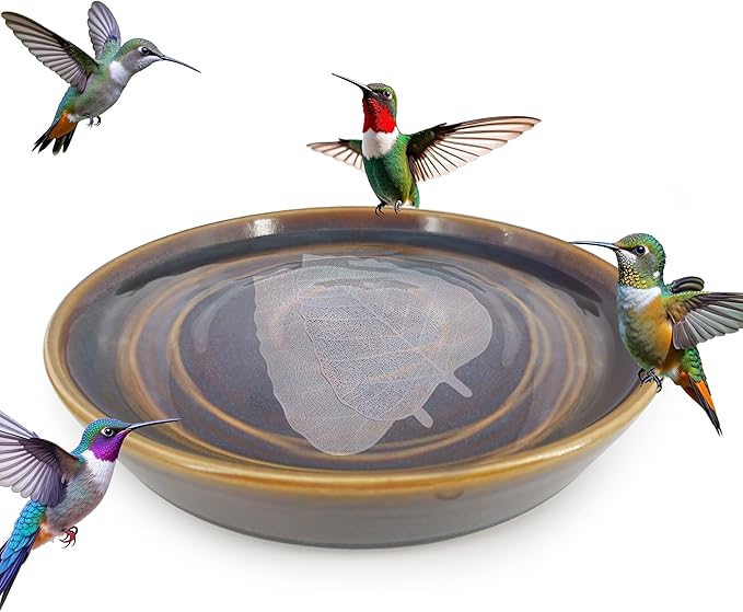 RONDURE 2 pcs Bird Bath Purification Disk 4 Inch Bird Bath Water Cleaner Disk, All-Season Water Purifier Copper disc for Bird Bath (Iron-Silver Alloy)