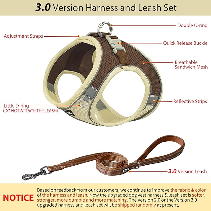 AIITLE Comfortable Dog Harness and Leash Set for Walking - Step in Vest Harness,Reflective Bands, Adjustable No Pull Puppy Essentials, for Small Dogs and House Cats Beige XS