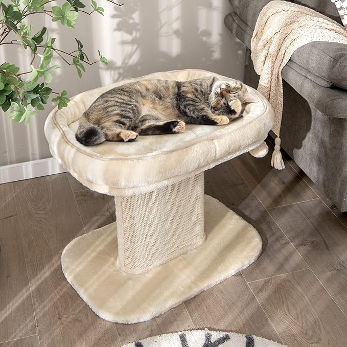 Tangkula Cat Tree for Indoor Cats, 2-Tier Cat Tower with Top Perch & Sisal Scratching Panel & Jingling Fur Ball Toy, Cozy Cat Bed with Scratching Post, Modern Small Kitten Activity Center (Beige)