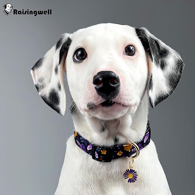 Cotton Dog Collar Purple Flower Pattern for Boys and Girls Cute Dog Collars Summer Fall Gift Adjustable for Medium to X-Large Breed Dogs (L)